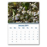 Calendarios